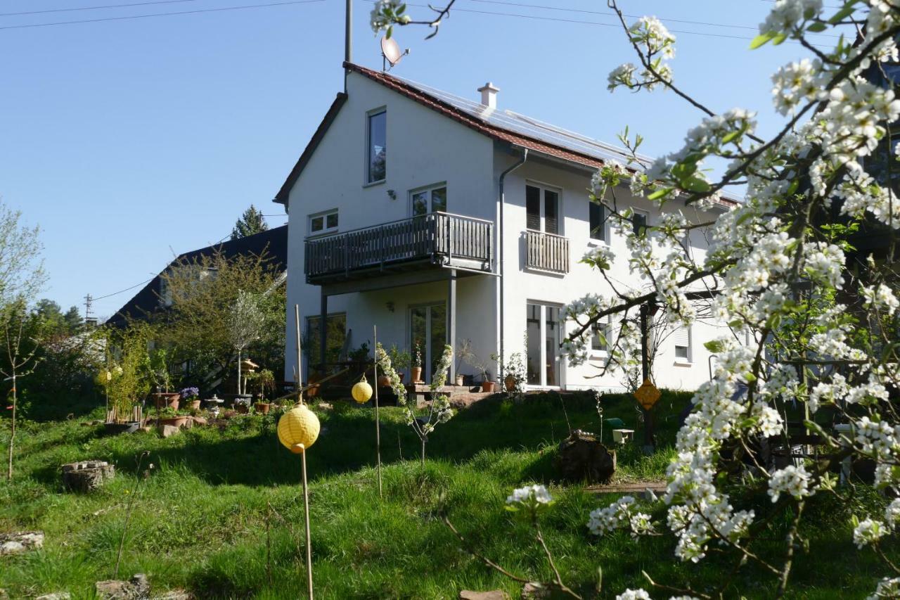 Otterhaus Appartement Trippstadt